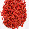 rote Ningxia Goji Berry chinesische Medlar Samen